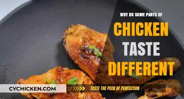 Why Chicken Parts Taste Unique: Exploring Flavor Differences in Poultry
