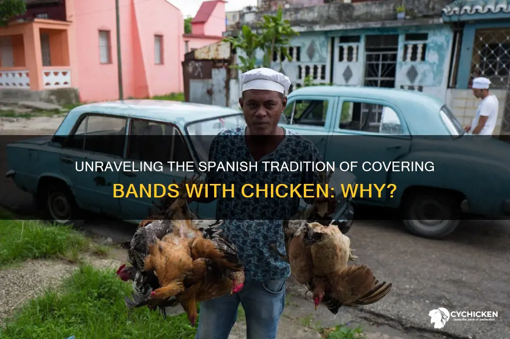 why do spanish people cover bands chicken for