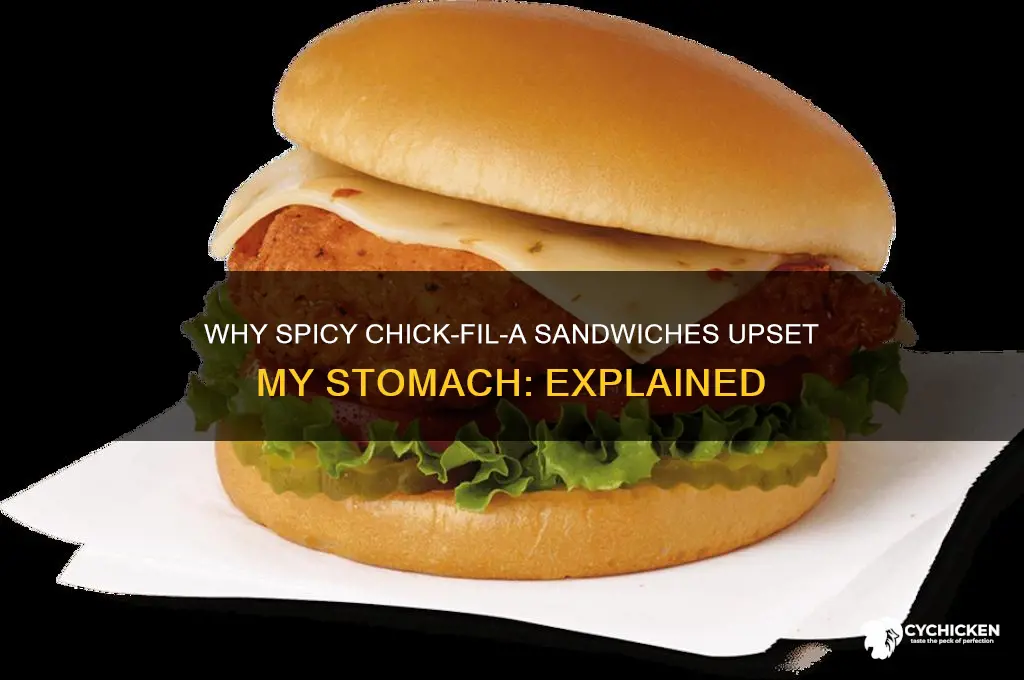 why do spicy chick fil a sandwiches hurt my dtomach