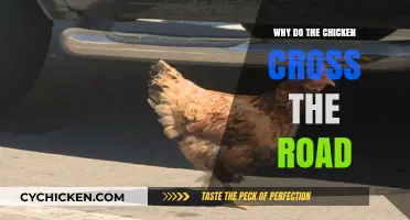 Why Chickens Cross Roads: Unraveling the Classic Riddle's Hidden Meaning