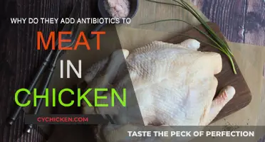 Antibiotics in Chicken Meat: Why and What For?