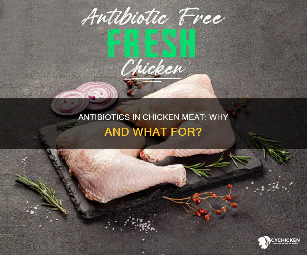 why do they add antibiotics to meat in chicken