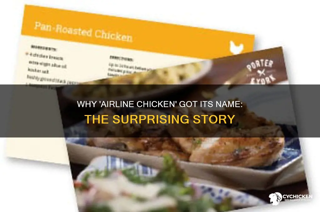 why do they call it airline chicken