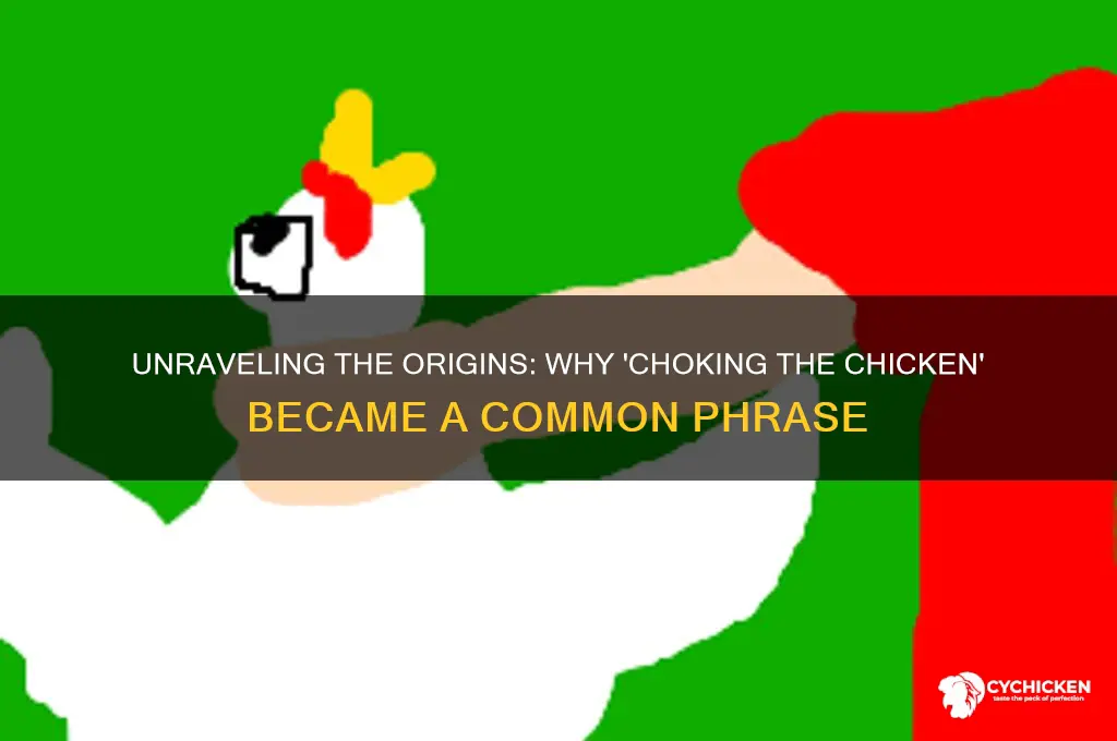 why do they call it choking the chicken