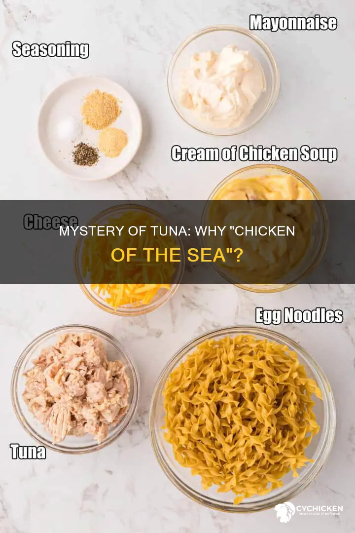 why do they call tuna chicken of the sea