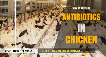 Why Antibiotics in Chicken: Uncovering the Hidden Practices in Poultry Farming
