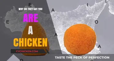 Why 'Chicken' is Used as an Insult: Unraveling the Cowardly Slang
