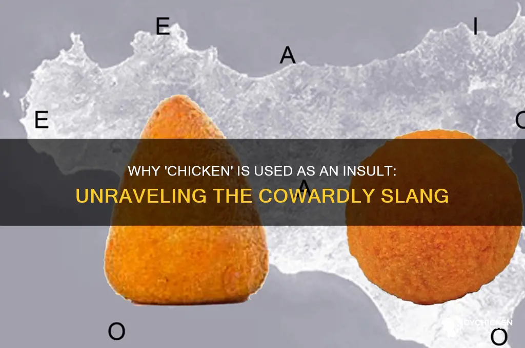 why do they say you are a chicken