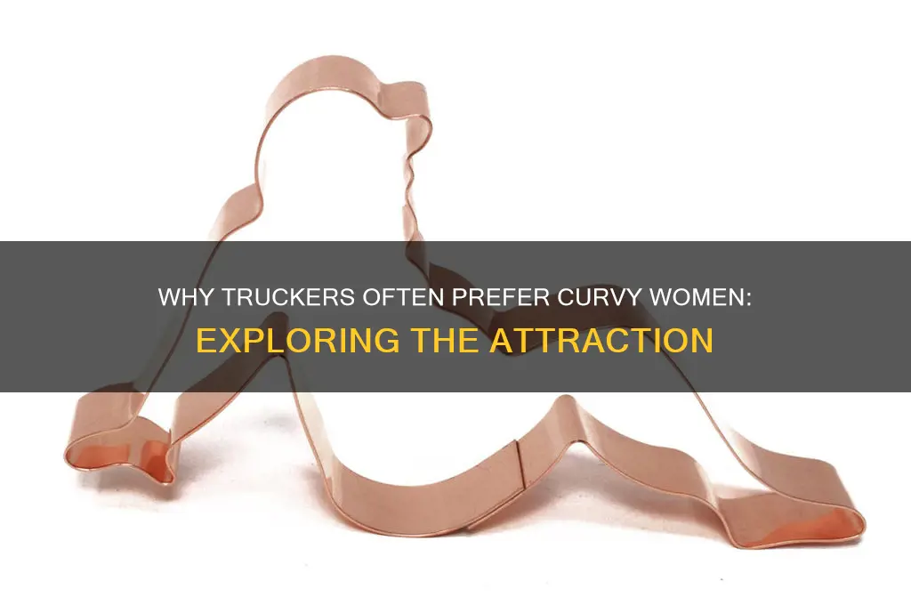 why do truckers drivers like fat chicks