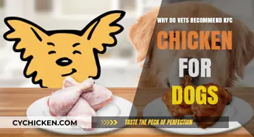 Is KFC Chicken Safe for Dogs? Vets Weigh In