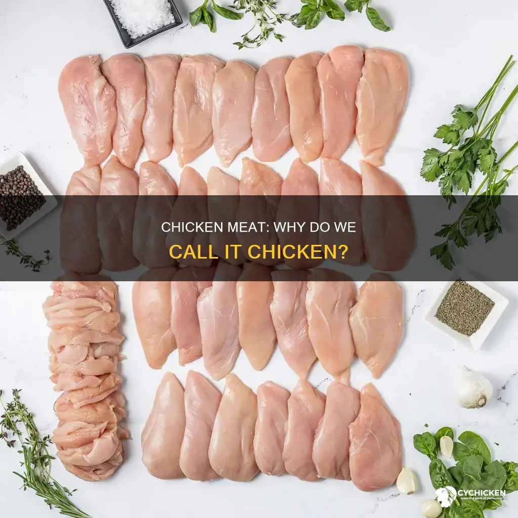 why do we call the meat of a chicken chicken