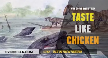 Why Do We Infer T-Rex Taste Like Chicken? Exploring the Myth