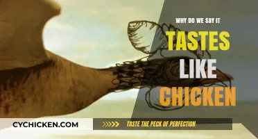 Why Everything Tastes Like Chicken: Unraveling the Culinary Mystery