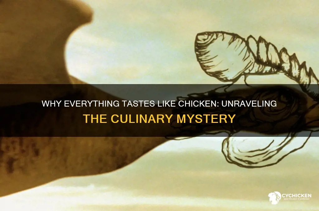 why do we say it tastes like chicken
