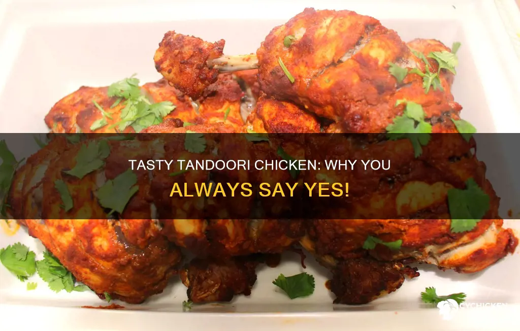 why do you always say yes to tandoori chicken