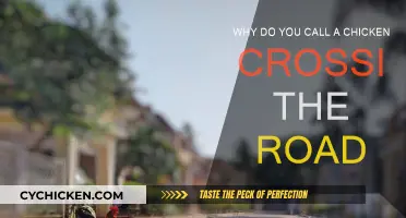 The Chicken's Road Crossing: Why Take the Risk?