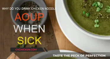 Chicken Noodle Soup: The Ultimate Sick-Day Comfort