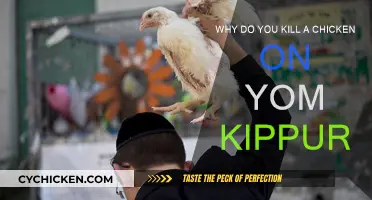 Sacrificing Chickens on Yom Kippur: Ancient Jewish Tradition