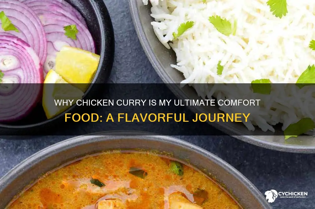 why do you like chicken curry