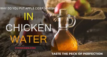 Apple Cider Vinegar: Healthy Chickens, Healthy You
