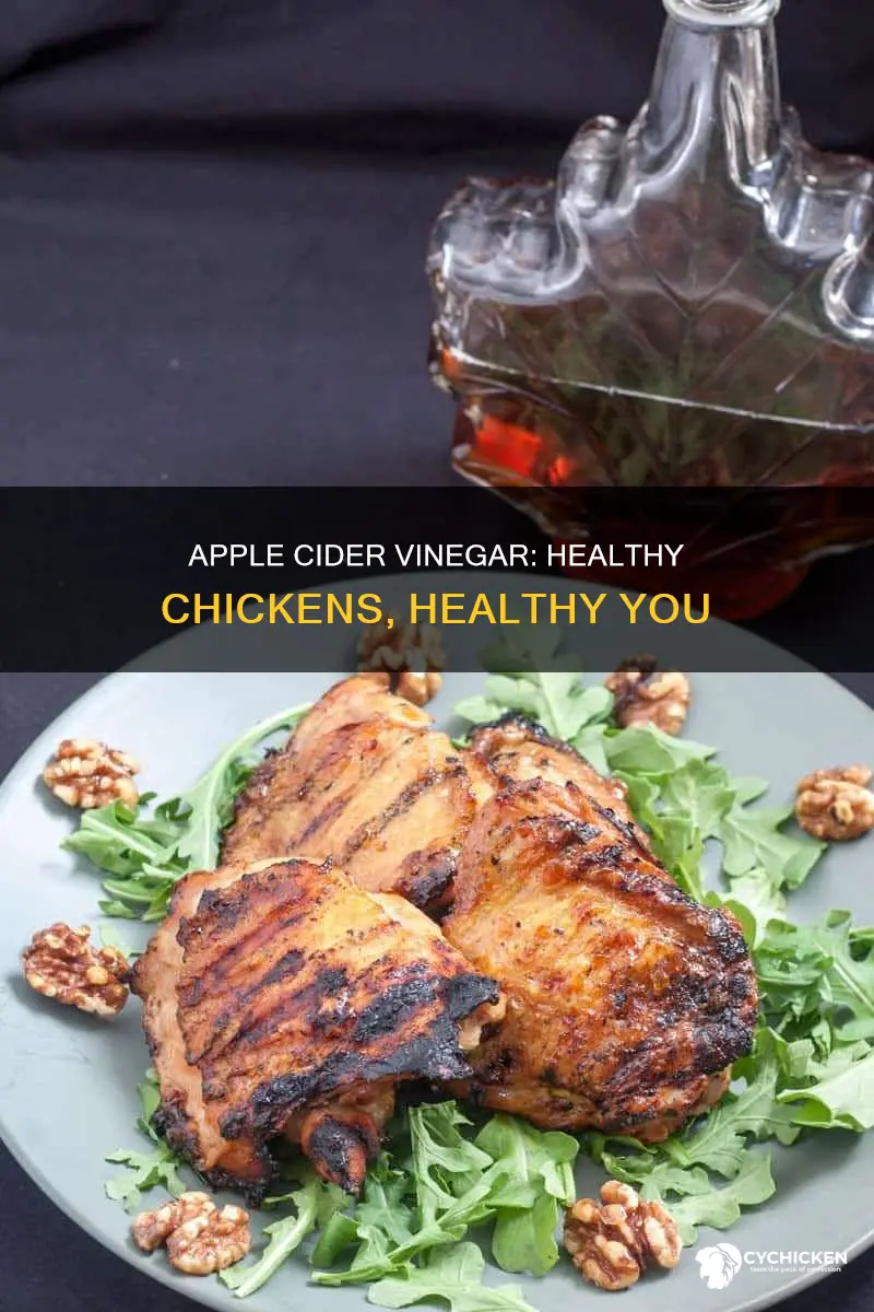 why do you put apple cider vinegar in chicken water