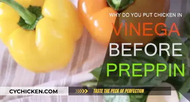 Soaking Chicken in Vinegar: Why Do It?