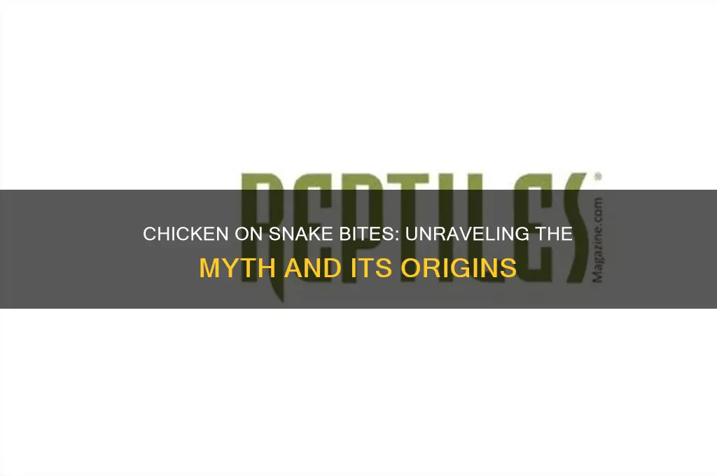 why do you put chicken on snake bites