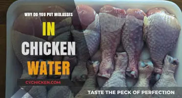 Molasses in Chicken Water: Surprising Benefits for Poultry Health