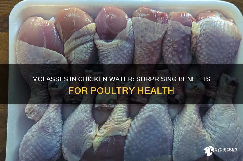 why do you put molasses in chicken water