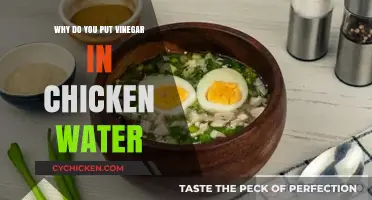 Vinegar in Chicken Water: Benefits, Uses, and Why It Works