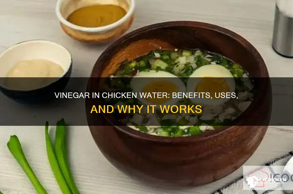 why do you put vinegar in chicken water
