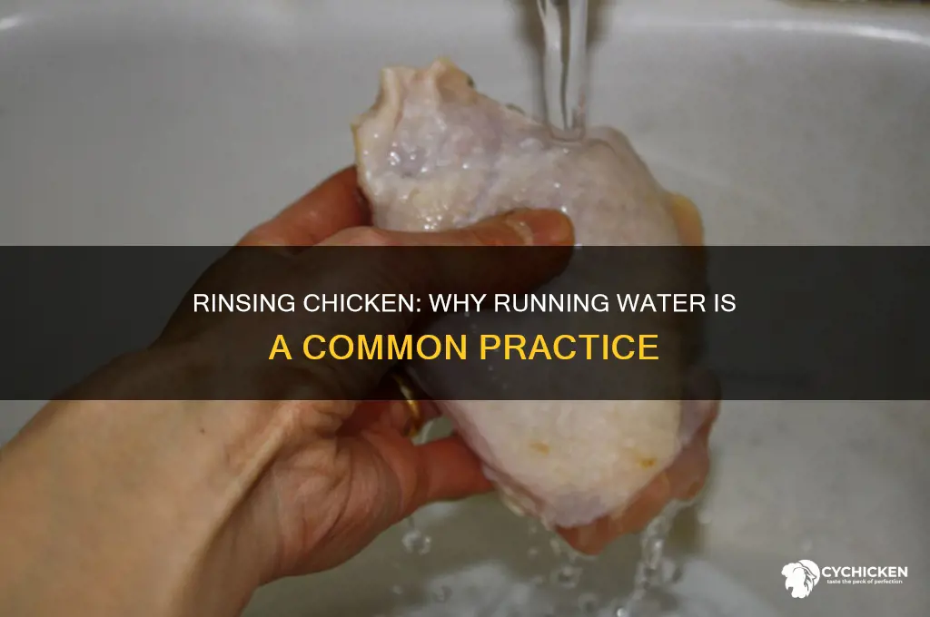 why do you rinse chicken under running water