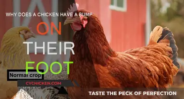 The Mystery of Chicken Feet Bumps Explained