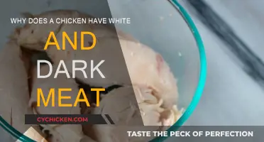 Chicken Meat Mystery: White and Dark Explained