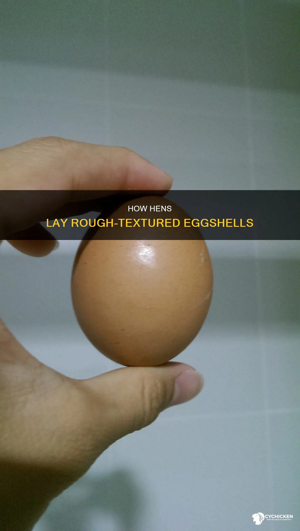 why does a chicken lay a rough feeling shell