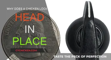 How Chickens Keep Their Heads Steady