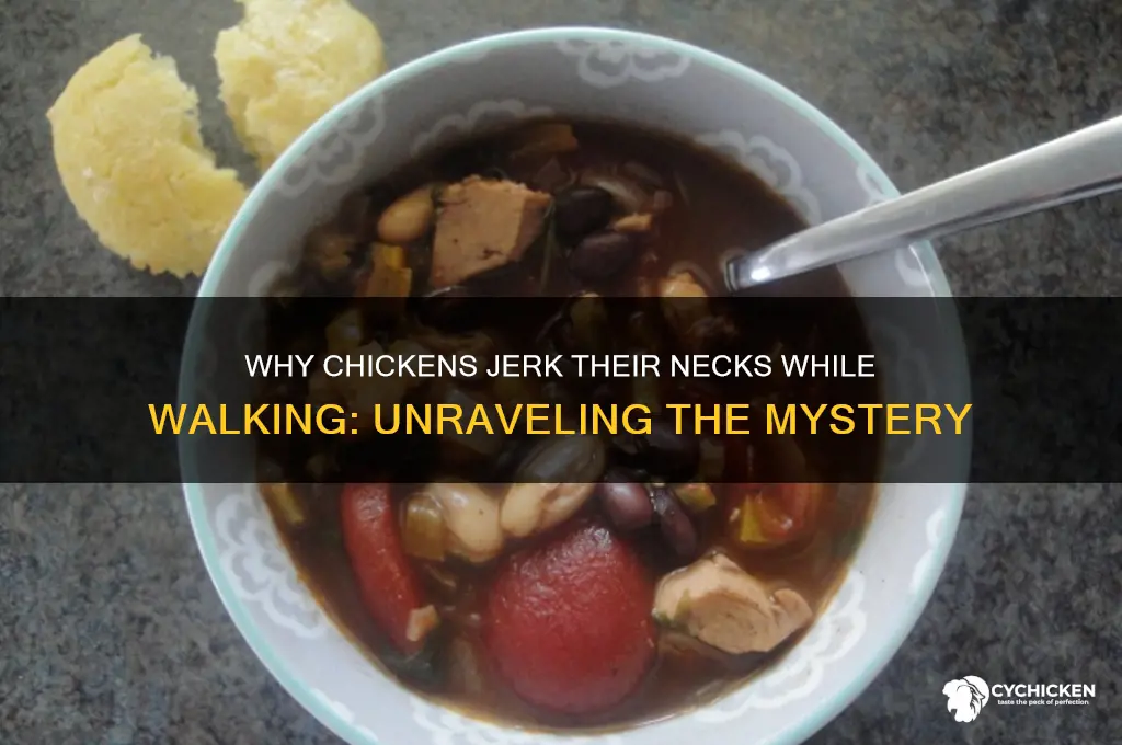 why does a chicken neck jerk when walking