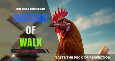 Why Chickens Skip: Unraveling the Mystery of Their Unique Gait