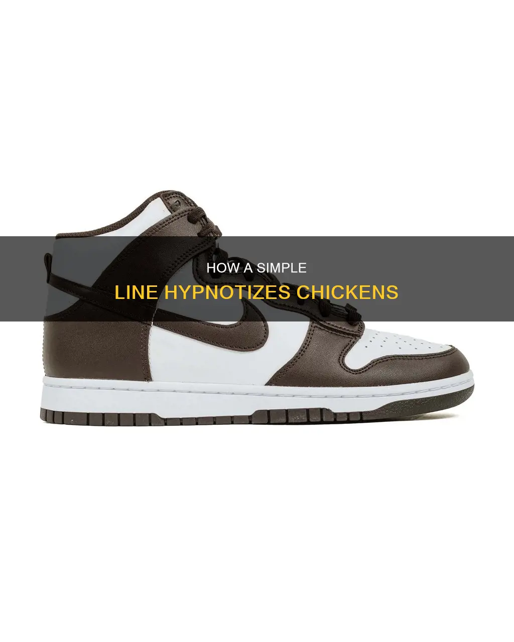 why does a line in the dirt hypnotize a chicken