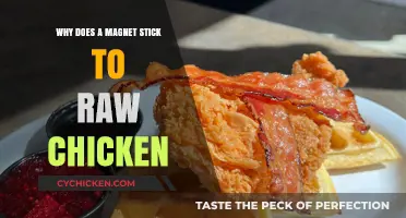 Why Magnets Stick to Raw Chicken: Unraveling the Surprising Science