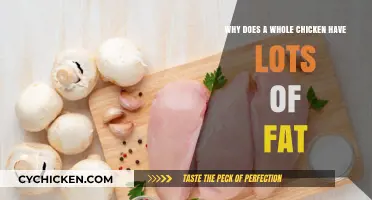 Uncovering the Truth: Why Whole Chickens Contain High Fat Content