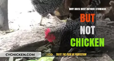 Why Beef Upsets Stomachs While Chicken Digests Easily: Exploring the Difference
