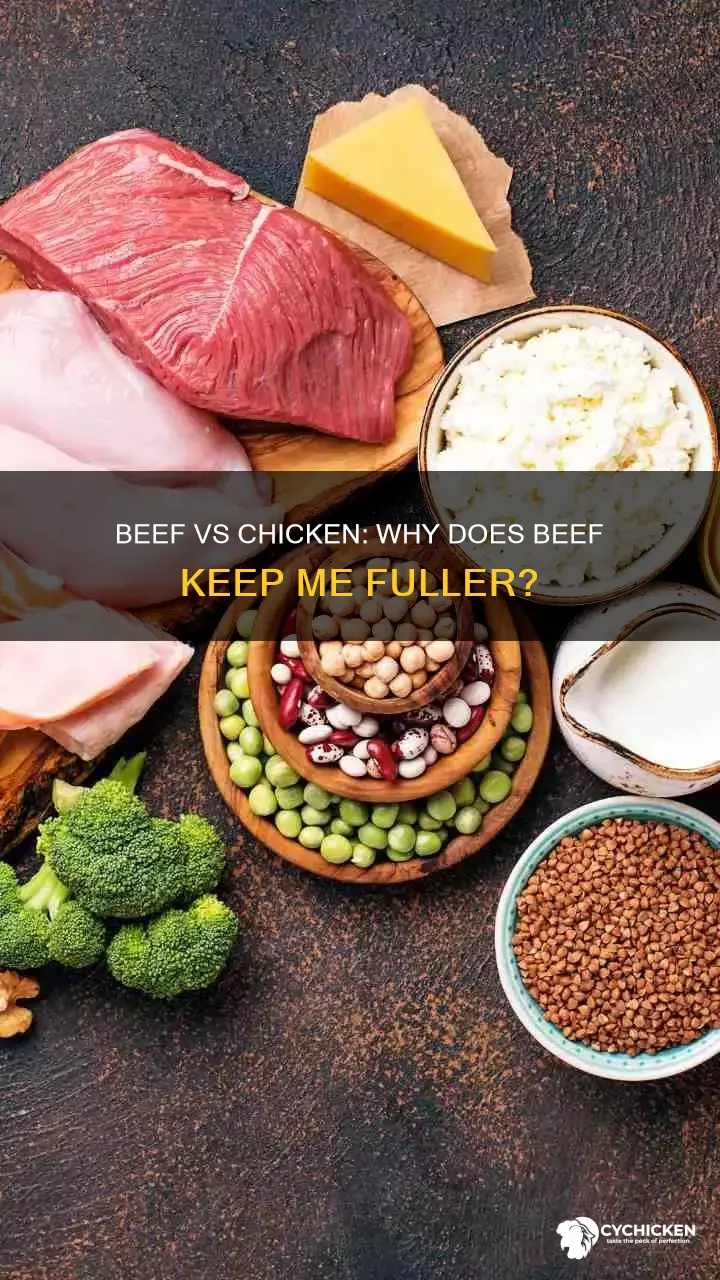 why does beef fill me up compared to chicken