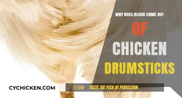 Why Chicken Drumsticks Bleed: Unraveling the Mystery of Red Liquid