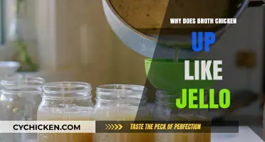 Why Does Chicken Broth Turn to Jello? The Science Behind It