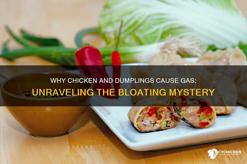 why does chicken and dumplings give me gas