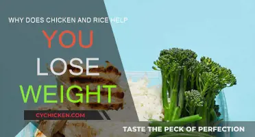 Chicken and Rice Diet: Weight Loss Explained