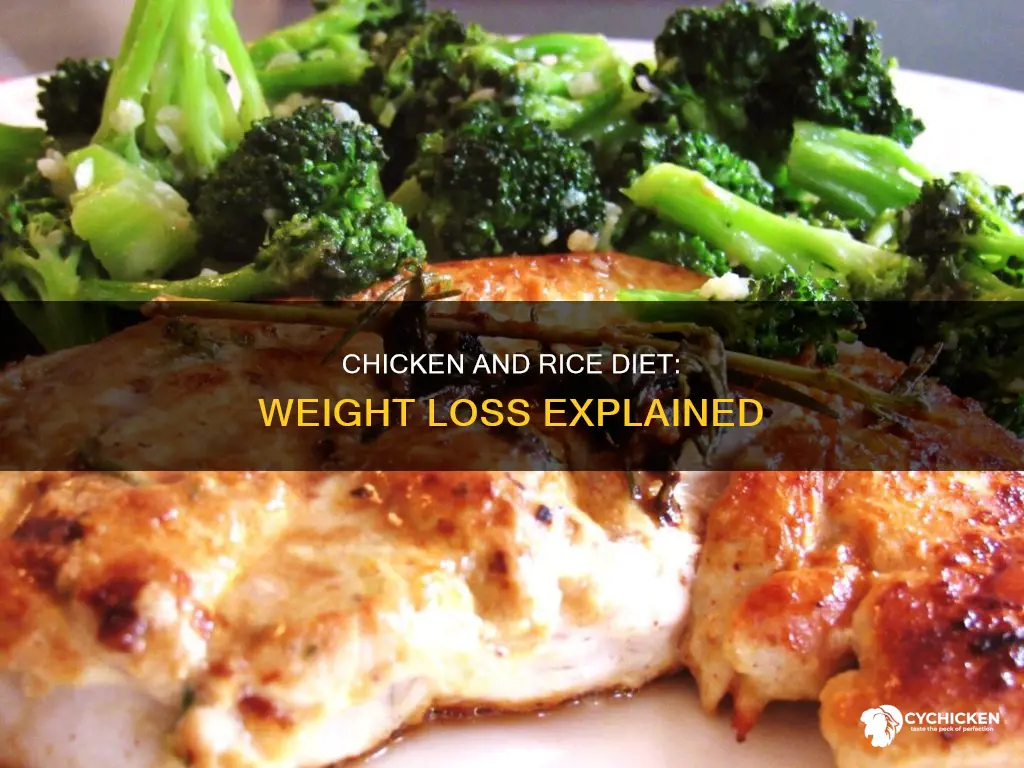 why does chicken and rice help you lose weight