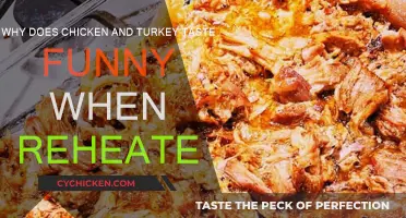 Reheated Poultry: Why the Funny Taste?