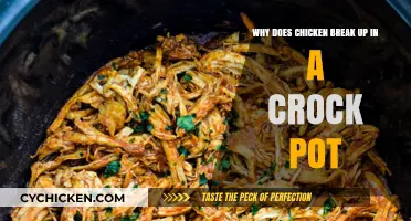The Mystery of Shredding Chicken in a Crock Pot Explained